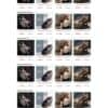 Theme wordpress bán ghế massage