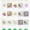 Theme Wordpress in ấn 6