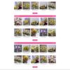 Theme wordpress shop hoa 02