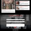 Theme wordpress tiệm xăm