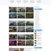 Thiết kế web giá rẻ - Chuyên nghiệp, phù hợp ngân sách, tối ưu hiệu quả cho doanh nghiệp Việt.